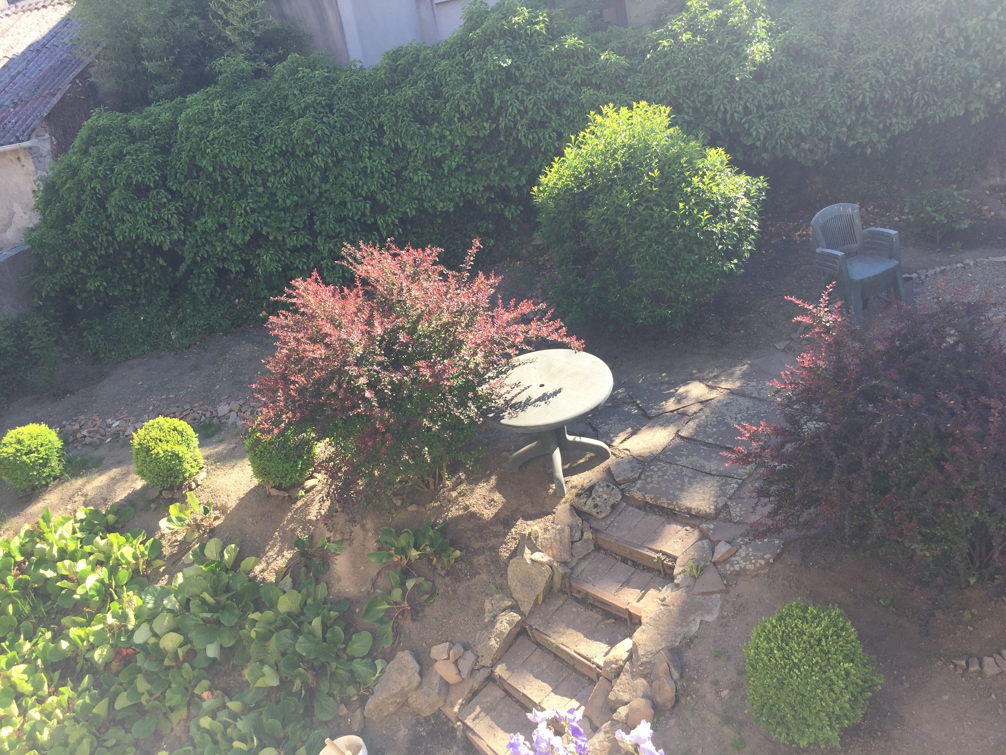 Jardin