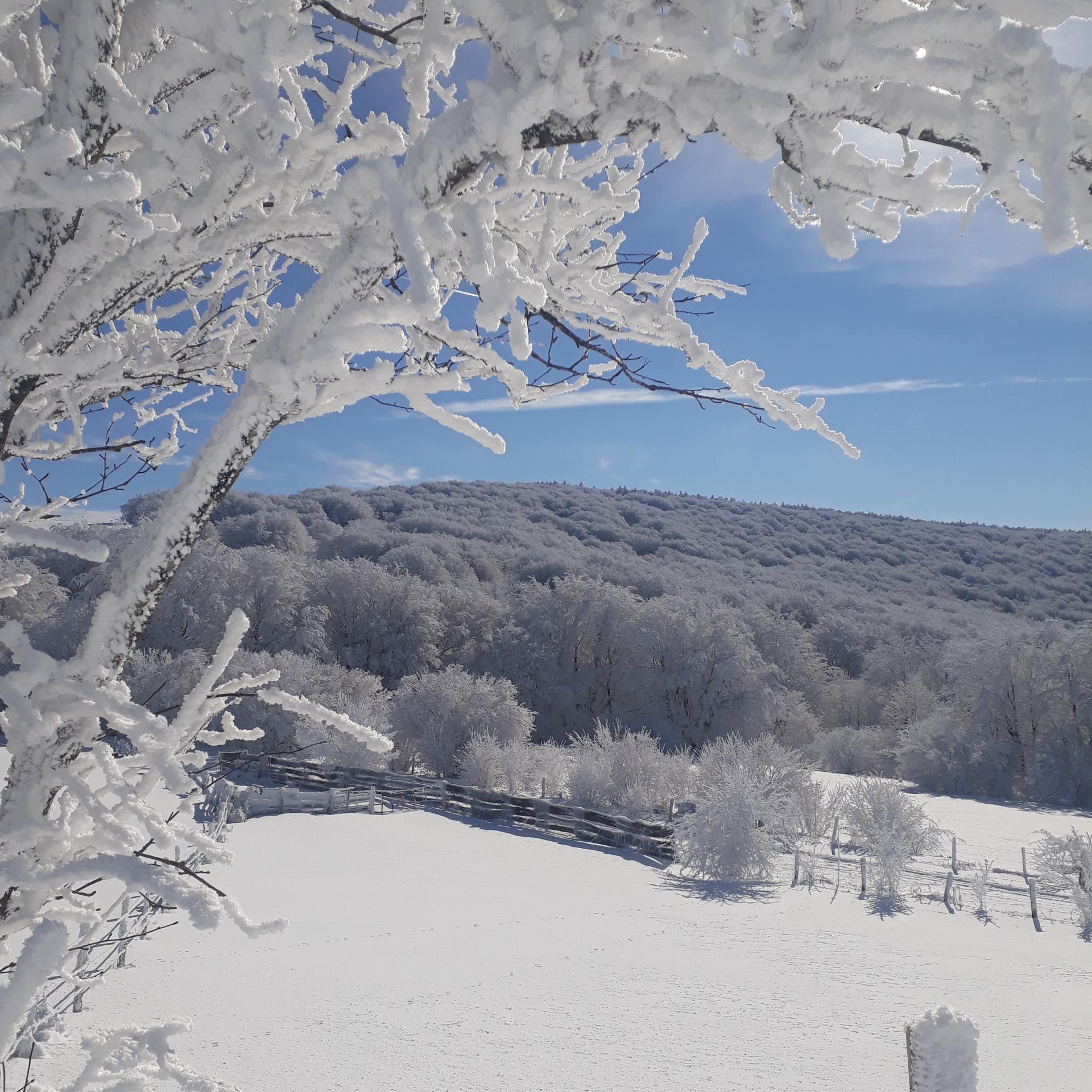 lacaunesous la neige