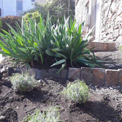 Jardin mm