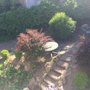 Jardin